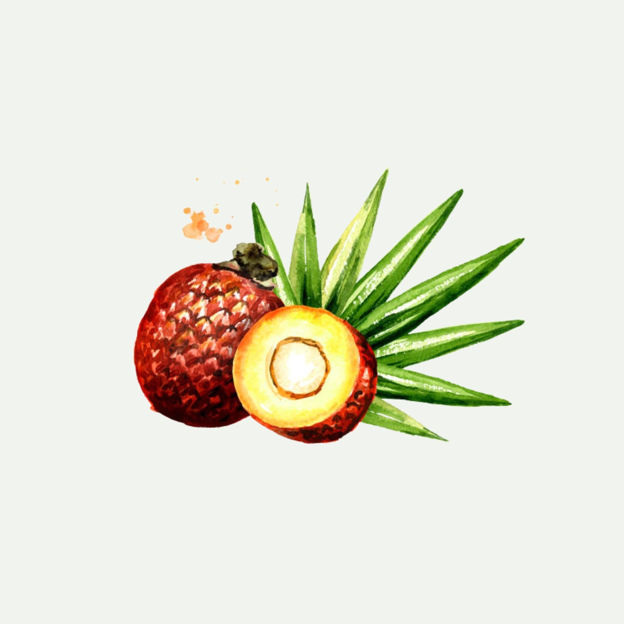 BURITI OIL