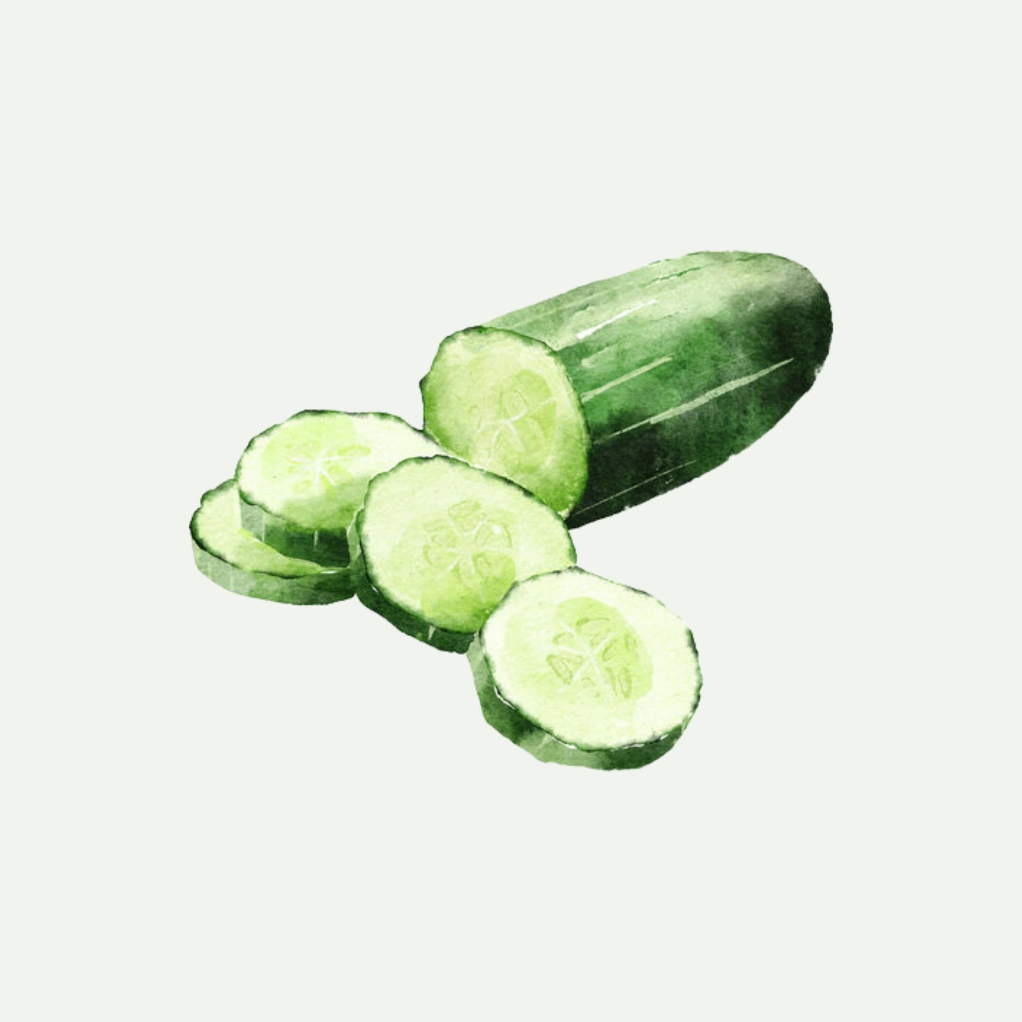 CUCUMBER EXTRACT