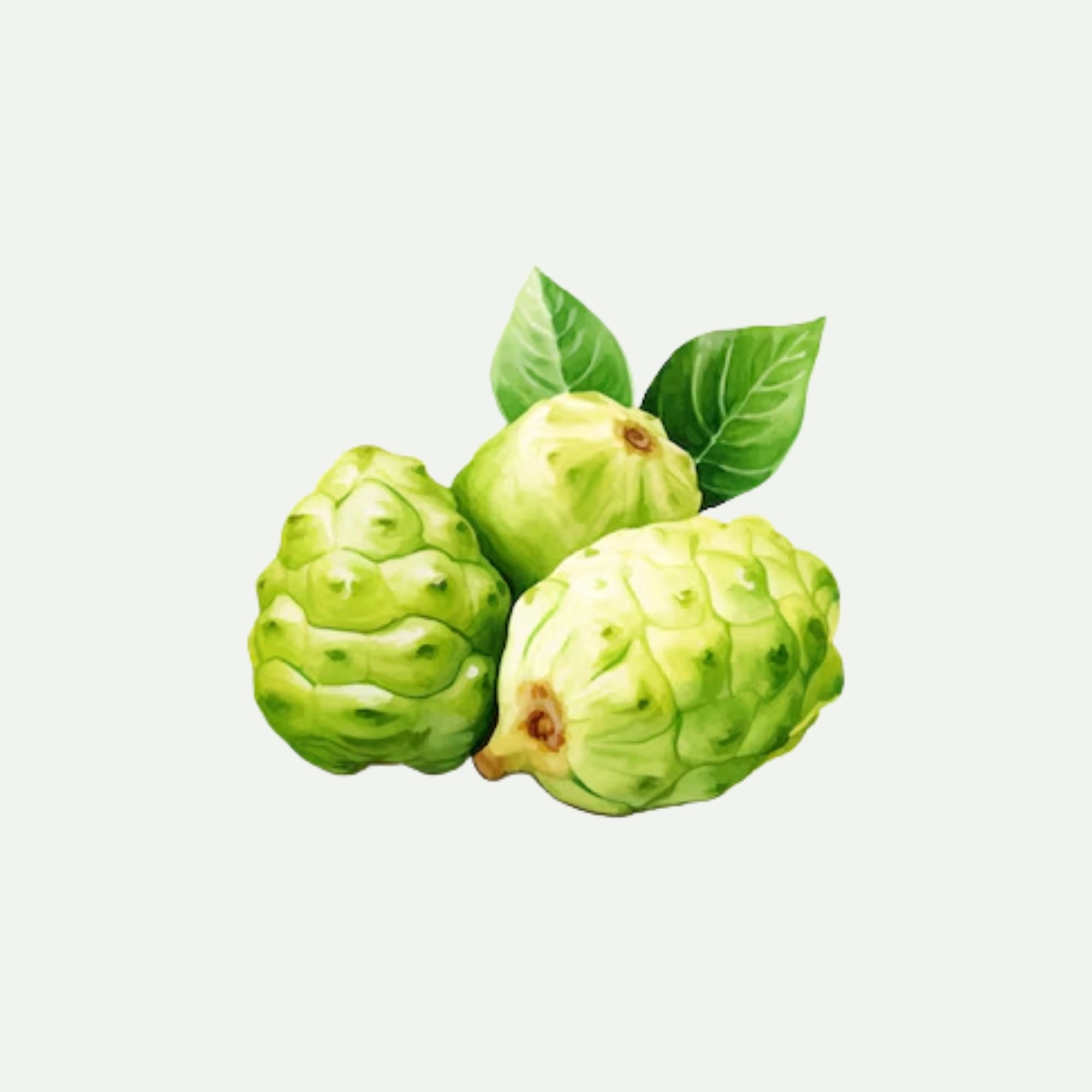 NONI EXTRACT