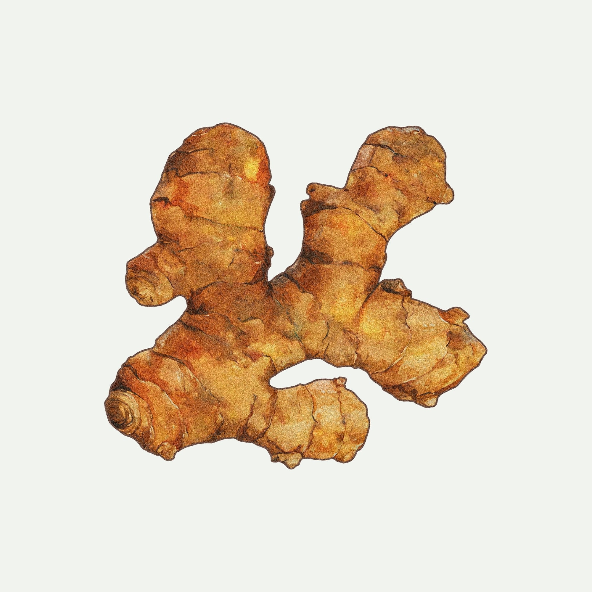 TURMERIC EXTRACT