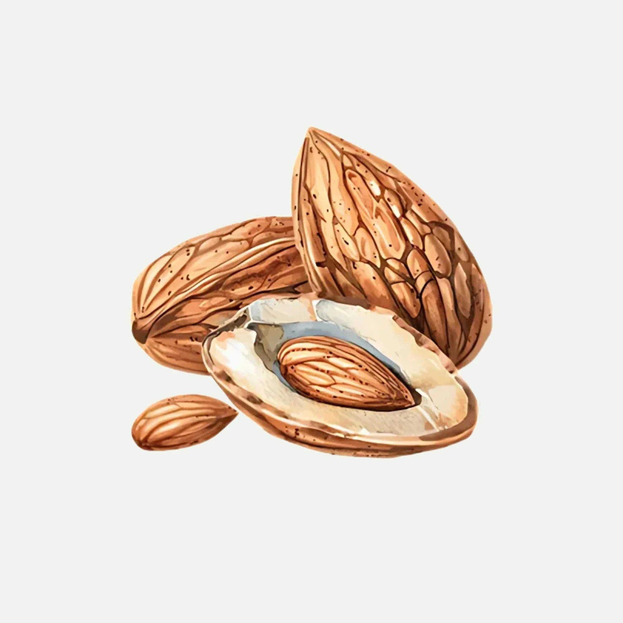 ALMOND OIL