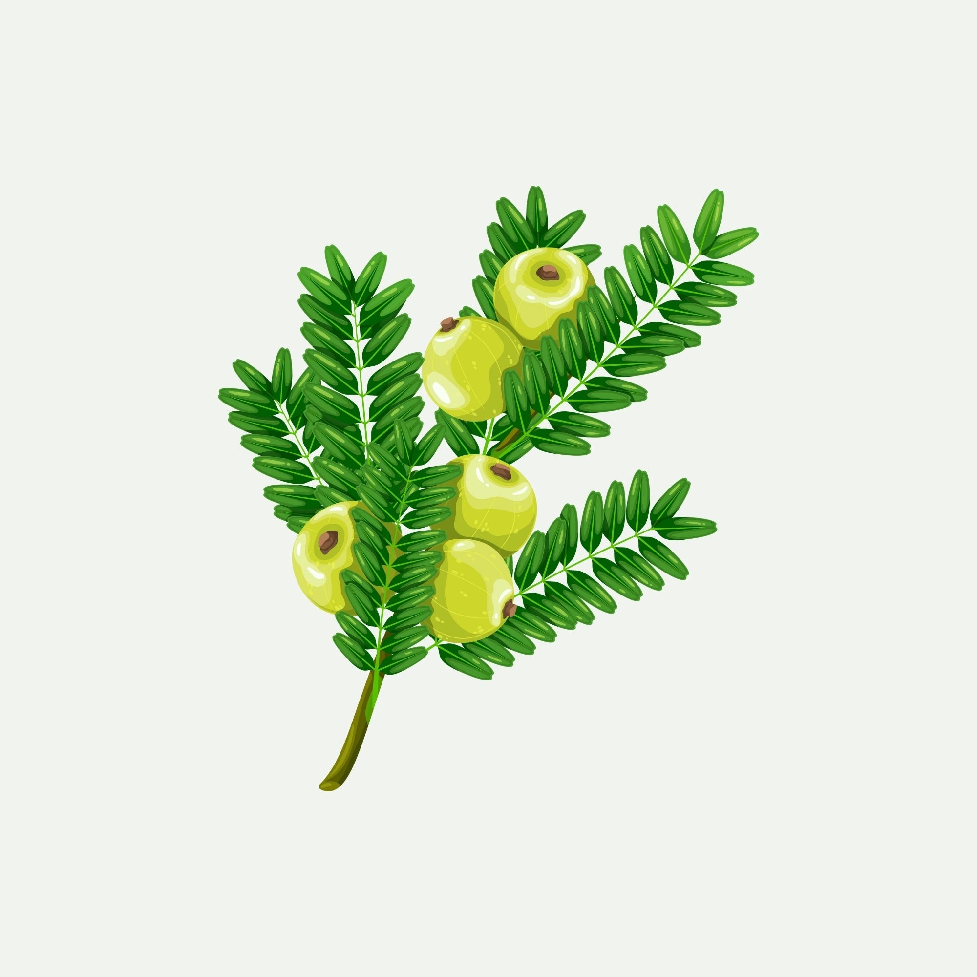 Yalangoch Vera Sotnikovaning soxta surati Toliq yaqin planlar bilan anal porno, kop sonli videolar