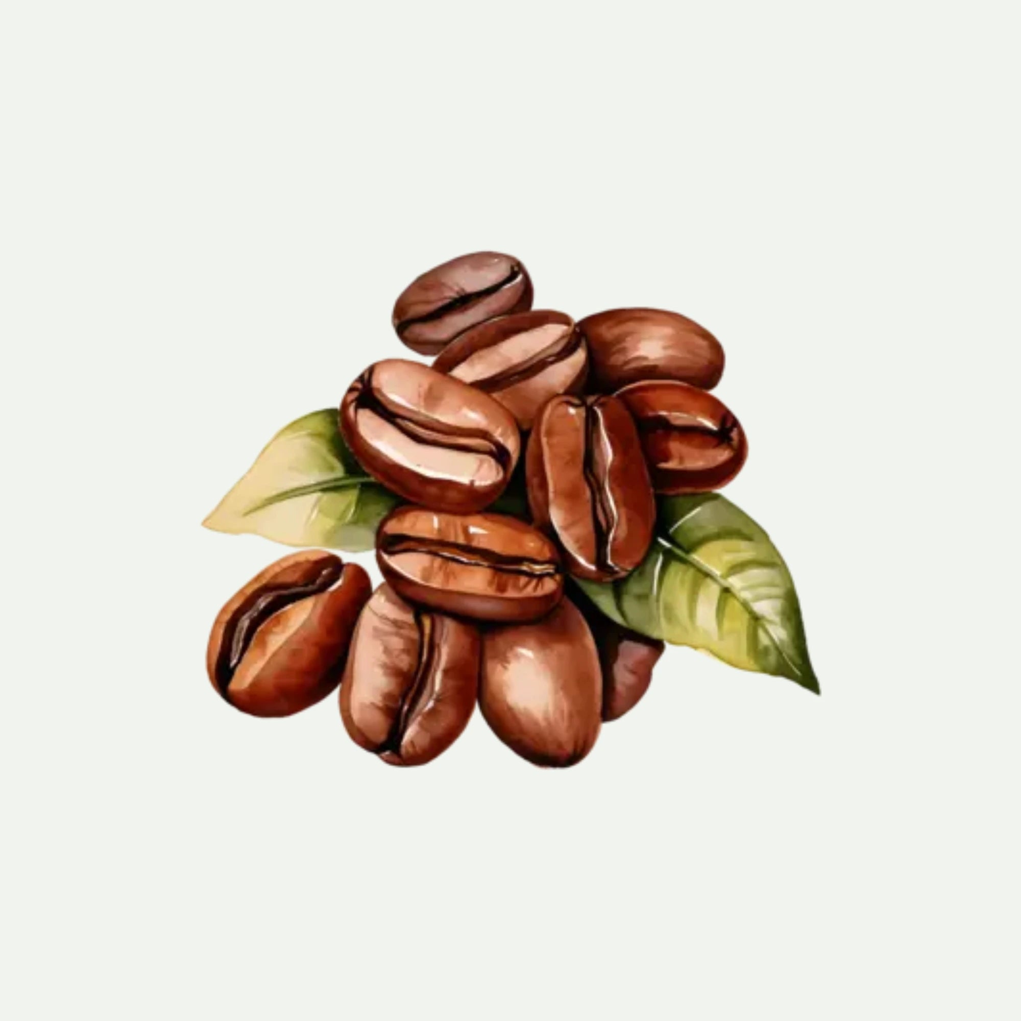 COFFEE EXTRACT
