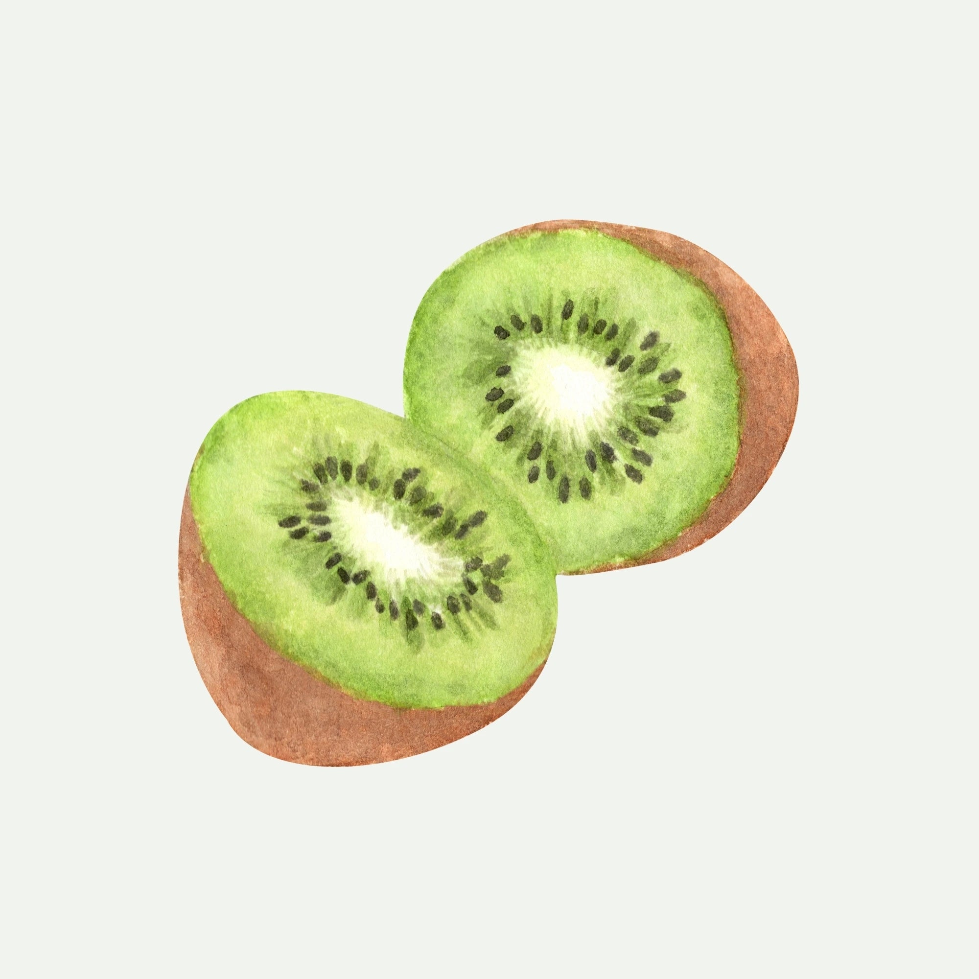KIWIFRUIT EXTRACT