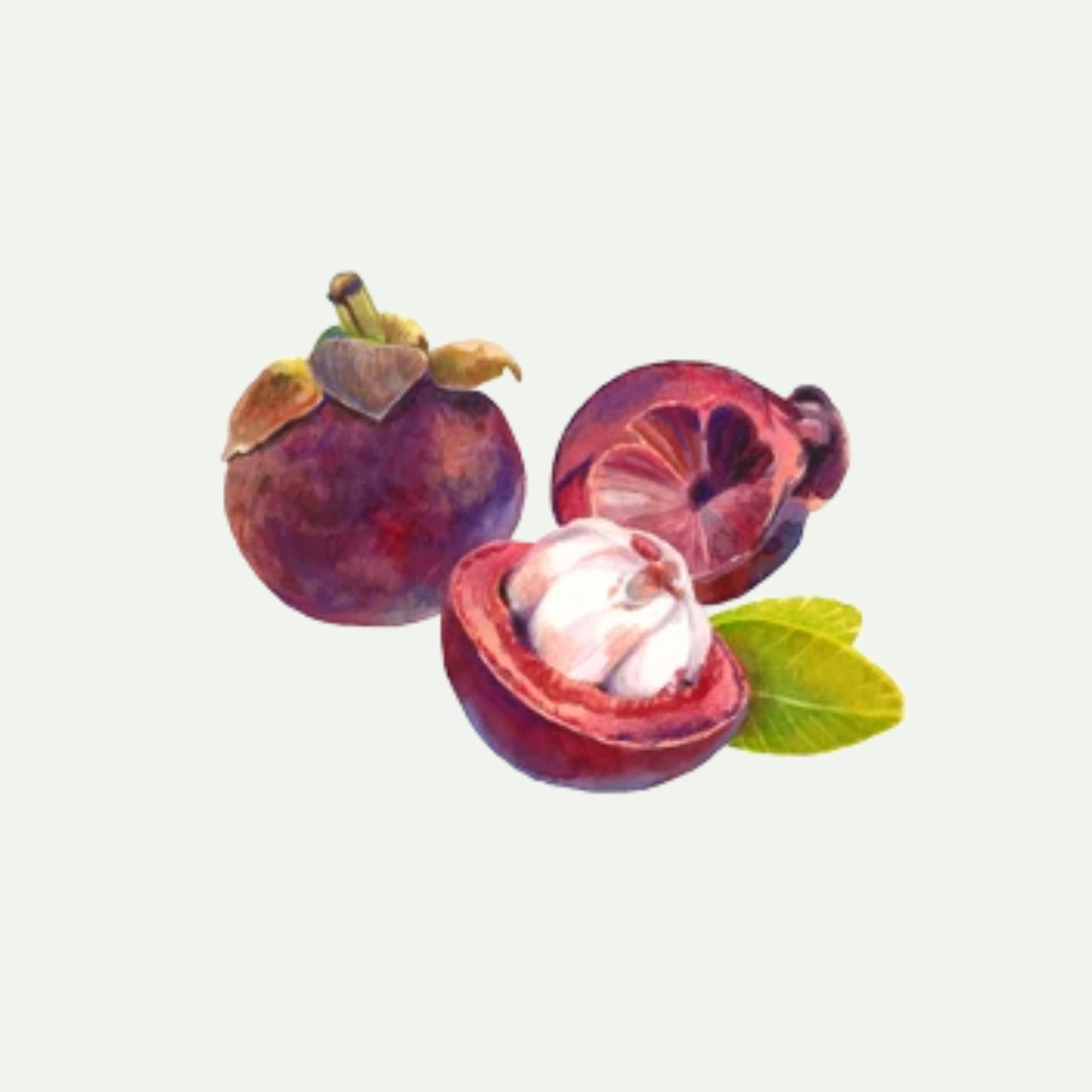 KOKUM BUTTER