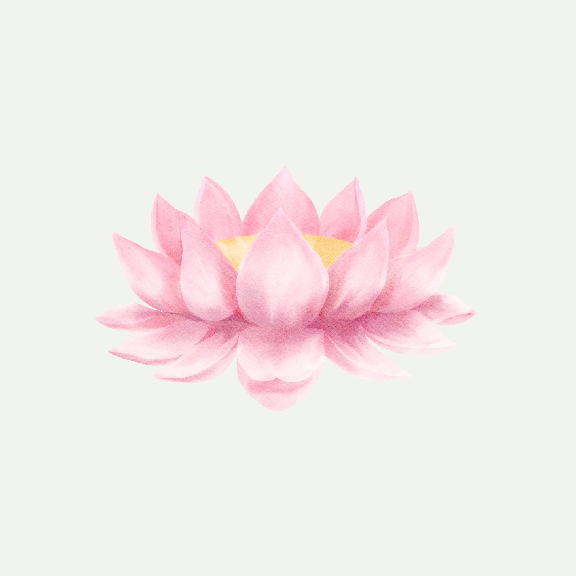LOTUS EXTRACT