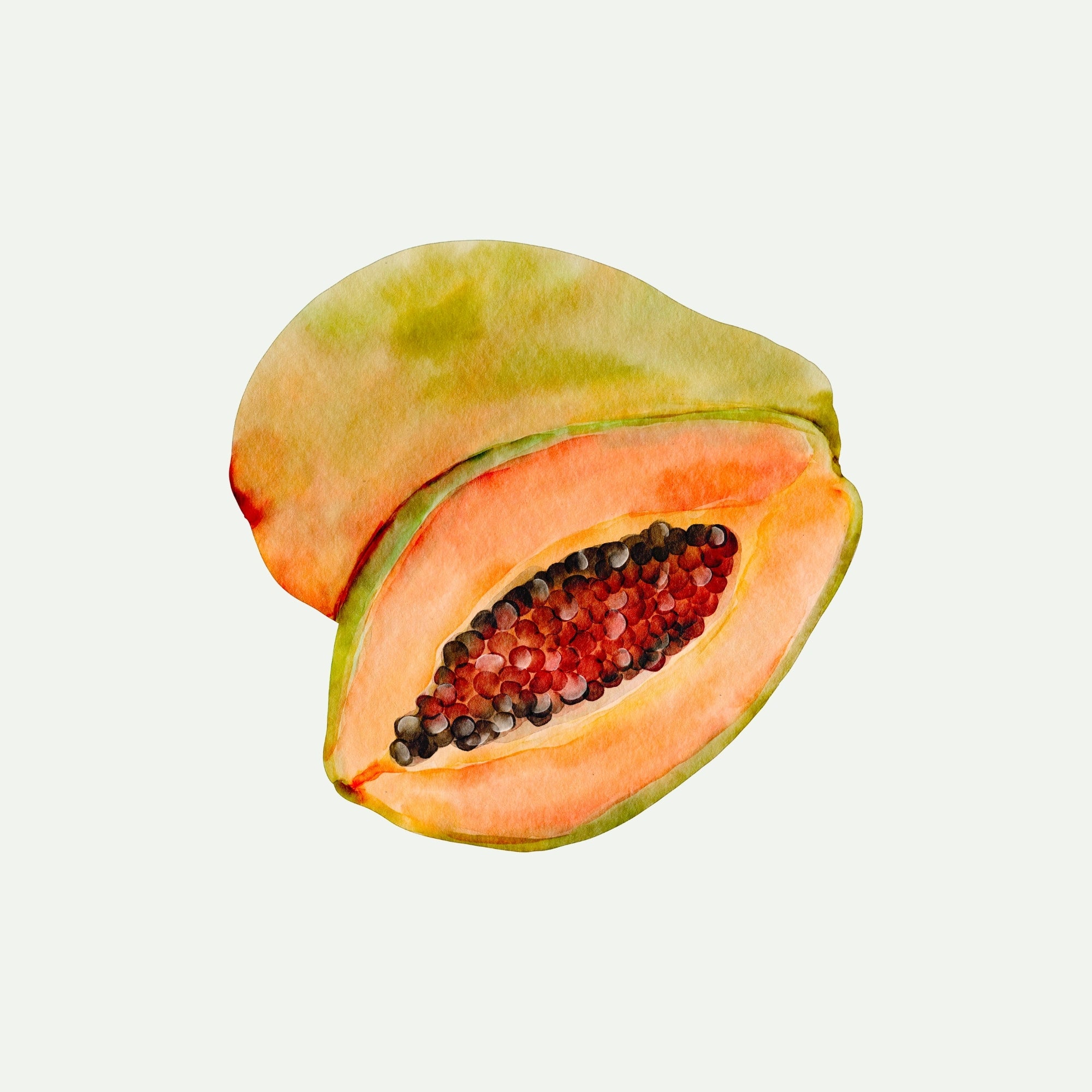 PAPAYA EXTRACT