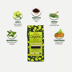 Strawberry Blonde - Radico Organic Hair Colour